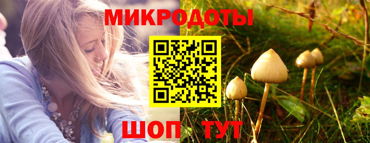 купить наркоту  Вход с VPN  Псилоцибиновые грибы Psilocybe  Донской  Галлюциногенные грибы прущие грибы 